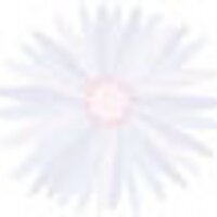 lilimoon (@lilimoon) 's Twitter Profile