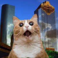 Houston Social Media (@houstonsocial) 's Twitter Profile