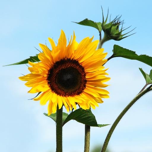 monique188818's profile picture. 