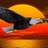 edimo1's profile image