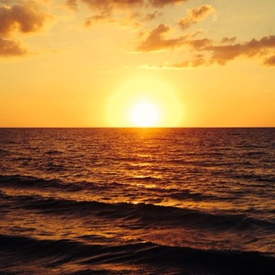 dfreiwa80's profile picture. Living vicariously through myself. *Views expressed are my own*