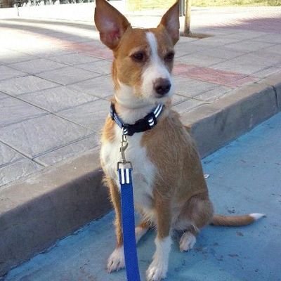 c3a16746401249f's profile picture. 