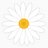 daisy_media's profile image