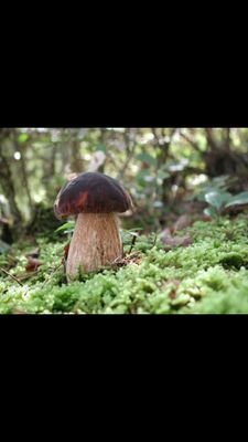 ちゃっぴー2号さんのプロフィール画像