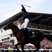 WRacingTips's profile picture. Email Service from the Inside of Racing. W.Racing@Aol.co.uk