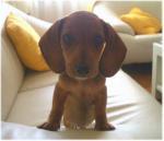 makoto64's profile picture. Love music, Love racing.