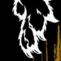 MTLPvideo's profile picture. 