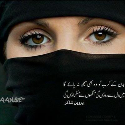 6388e3b193a144c's profile picture. 