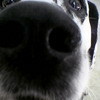 dorr's profile picture. Addicted to technology.