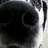 dorr's profile image