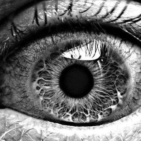 RealityLIB's profile picture. Its all about Perspective
※MUSIC※PHILOSOPHY※POLITICS