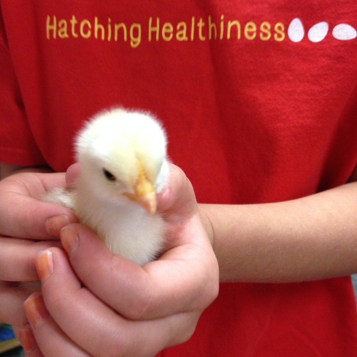 LetsGrowChange's profile picture. Advocate for Health and Wellness