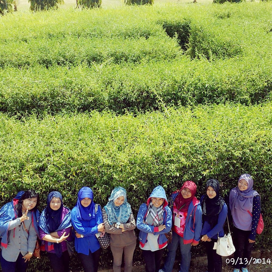 san_Isansanah's profile picture. Just call me isan or sanah. :D