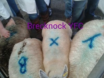 Brecknock YFC