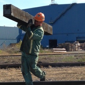 ThomasShelton16's profile picture. 