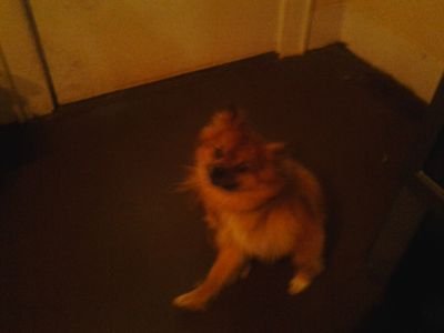 AshtinLol's profile picture. 