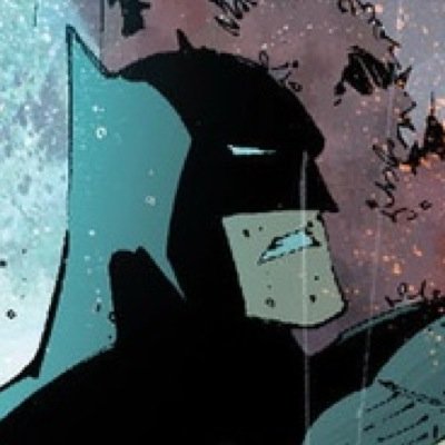 Gothams watchful protecter, its silent guardian. The dark knight. I am the hero this city needs. I'm Batman. #Engaged to my Beautiful Cat  @MeowKittysHere
