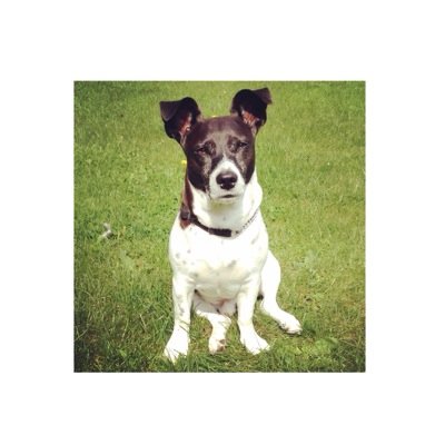 mattgowmerlin's profile picture. 