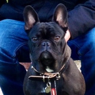 1Demonized1's profile picture. 