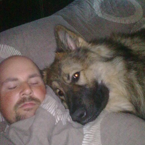 I love my pooch