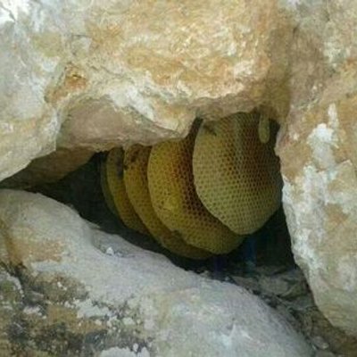 666Saleh97807's profile image