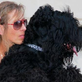 AllaBRT's profile picture. 