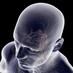 rafaelmera (@rafaelmera) Twitter profile photo rafaelmera (@rafaelmera) Twitter profile photo