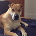 Darryl Proctor - @deeproc11 - Twitter