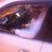 FAS990's profile image