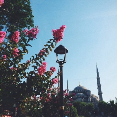أخصائية أعاقة عقلية