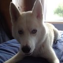 donna spinks - @donnaspinks10 - Twitter