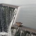 Ross Hamilton - @1sky1Ross - Twitter