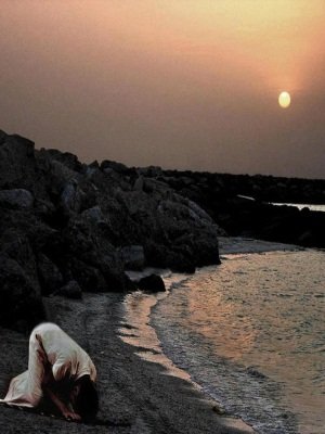 collumfe's profile picture. لاأمل نسي