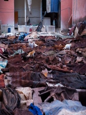 من كثر ما اخاف حادك تشوفك ودي ااشوفك ولاحولي بشر ثماغني لك واناا ماسك كفوفك ياعيون الكون غضي باالنظر ❤بليز الخاااااص ممنوووع✋