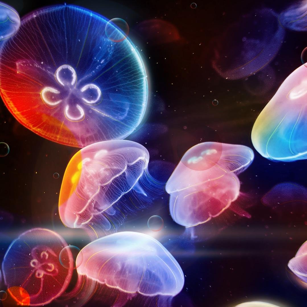 CHammerton's profile picture. 