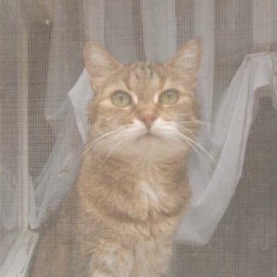 そらみつのプロフィール写真