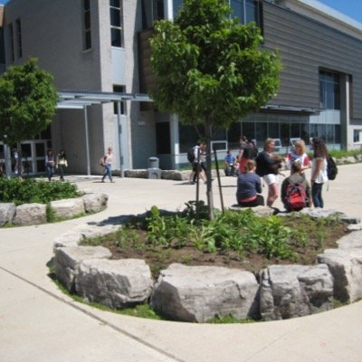 SjamThanks's profile picture. dm what you are thankful for!! will keep annon!