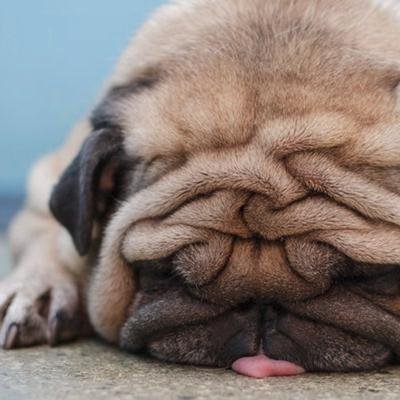 TiredMambo's profile picture. The official Twitter account of every business that has, does, or will exist. Views are your own.  Joined March 2009