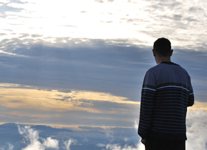 traceproject's profile picture. 