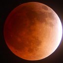 Mandy Shaffer - @myquadsquad - Twitter