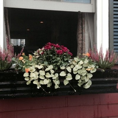 CroninGms's profile picture. 