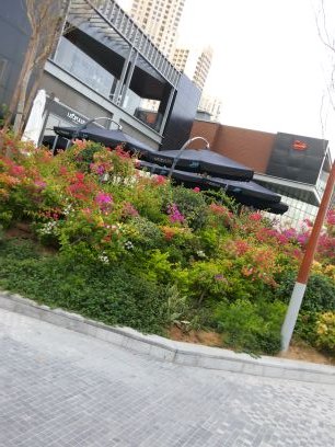 ‏‏‏‏‏‏كَثرة الكُتمَان جَعَلت قُلوبَنا تتَأثر مِن اقَل الأشياءّ.!