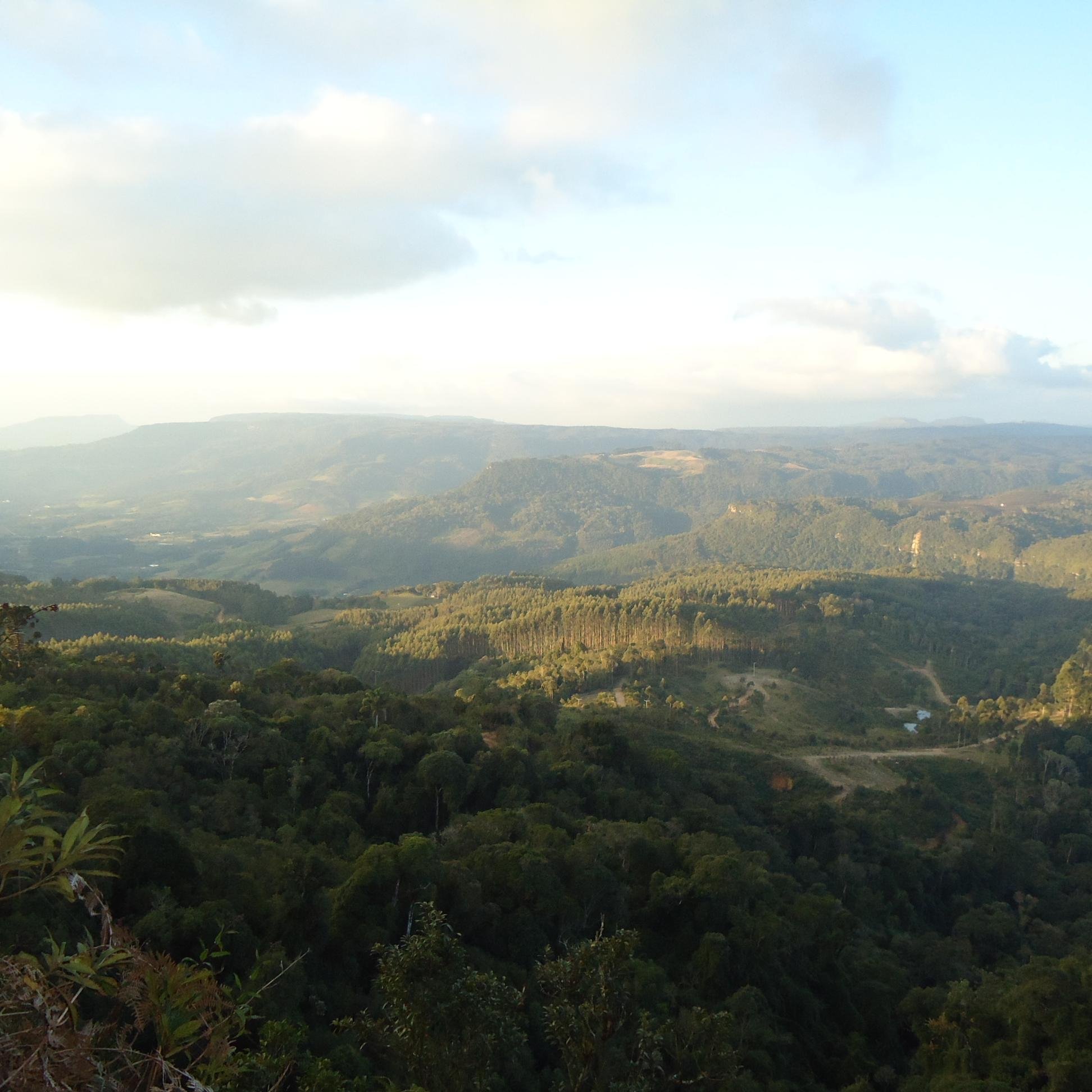 SchwambachSonia's profile picture. 