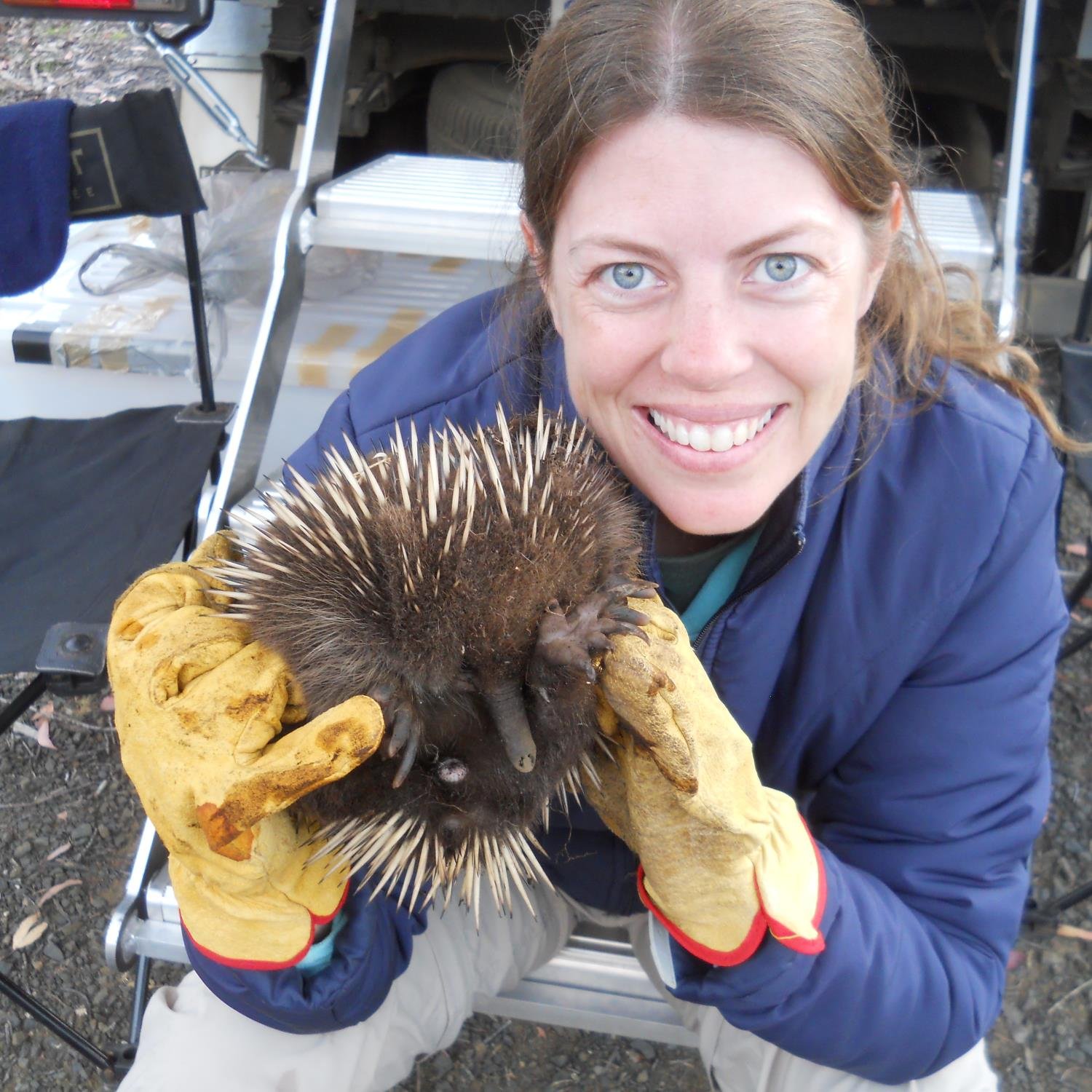 Ecological, conservation and comparative physiologist, specialising in terrestrial vertebrates. Senior Lecturer, Curtin University