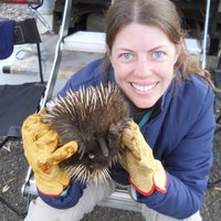 Christine Cooper (@cecooperecophys) 's Twitter Profile Photo Christine Cooper (@cecooperecophys) 's Twitter Profile Photo