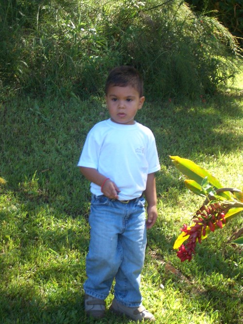 ashycardona's profile picture. 