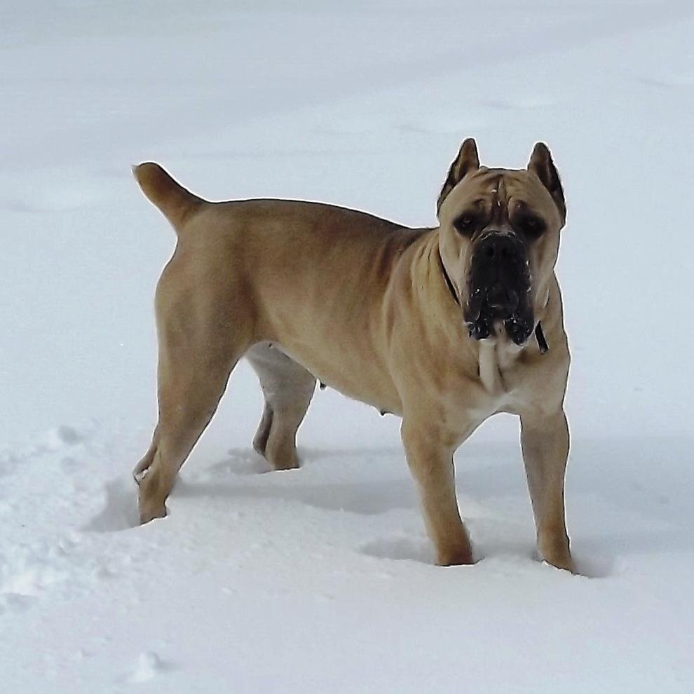 PinskiOhio's profile picture. 