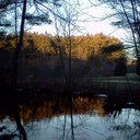 Diane Hadley - @dianthusdmh3 - Twitter