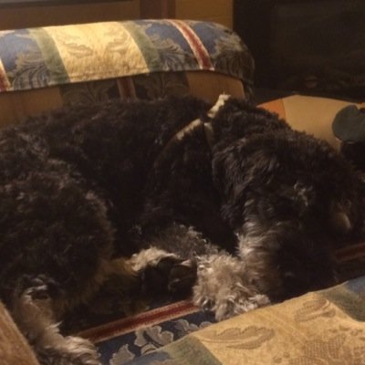 kJ196308's profile picture. 