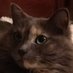 Lori Ellefson (@loriellefson5) Twitter profile photo